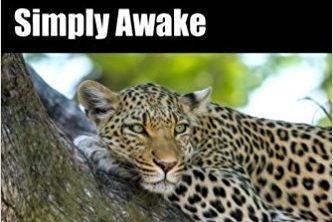 eBook: Simply Awake: Spiritual Enlightenment, the Simplest Thing